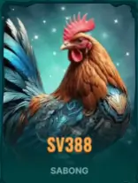 ck444 bet cricket sports betting Bangladesh
